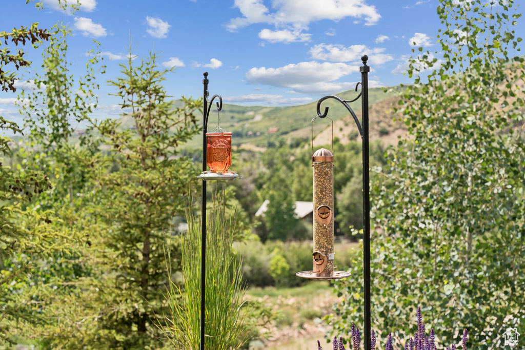 1400 WEBER WILD RD Oakley, UT 84055