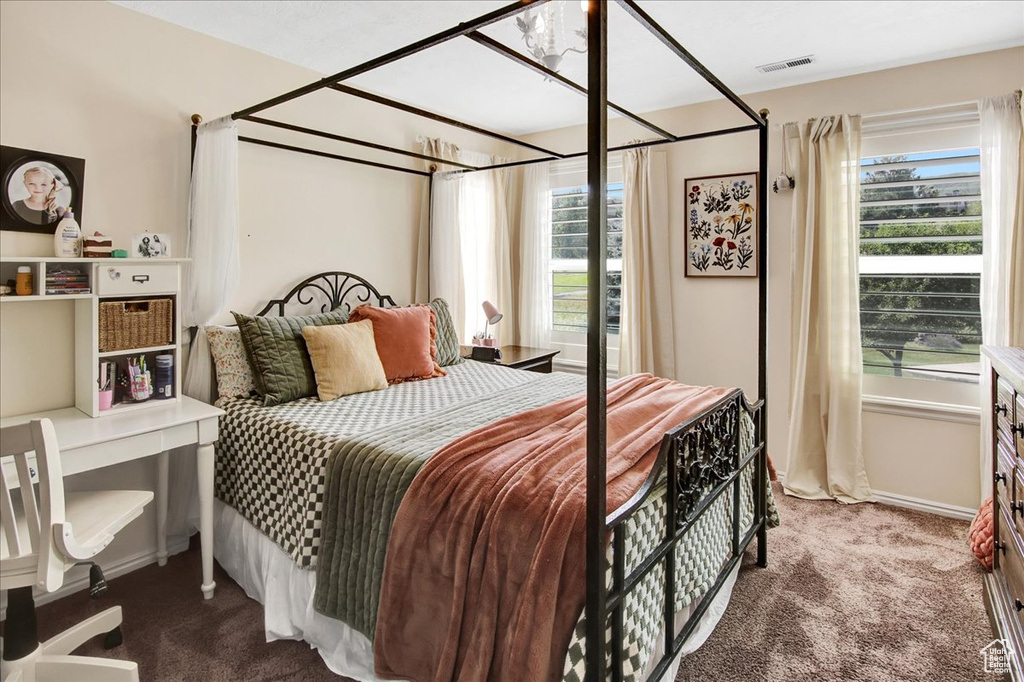 Bedroom with carpet flooring and multiple windows