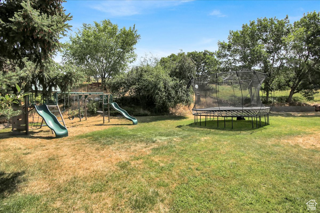 View of green lawn with a trampoline