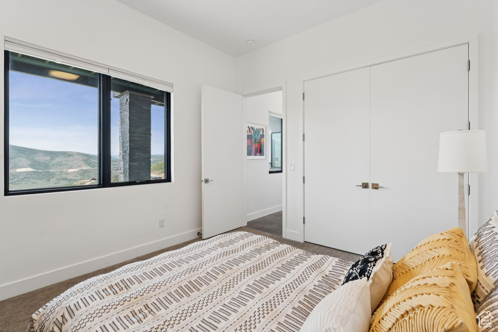 Carpeted bedroom with a closet and baseboards