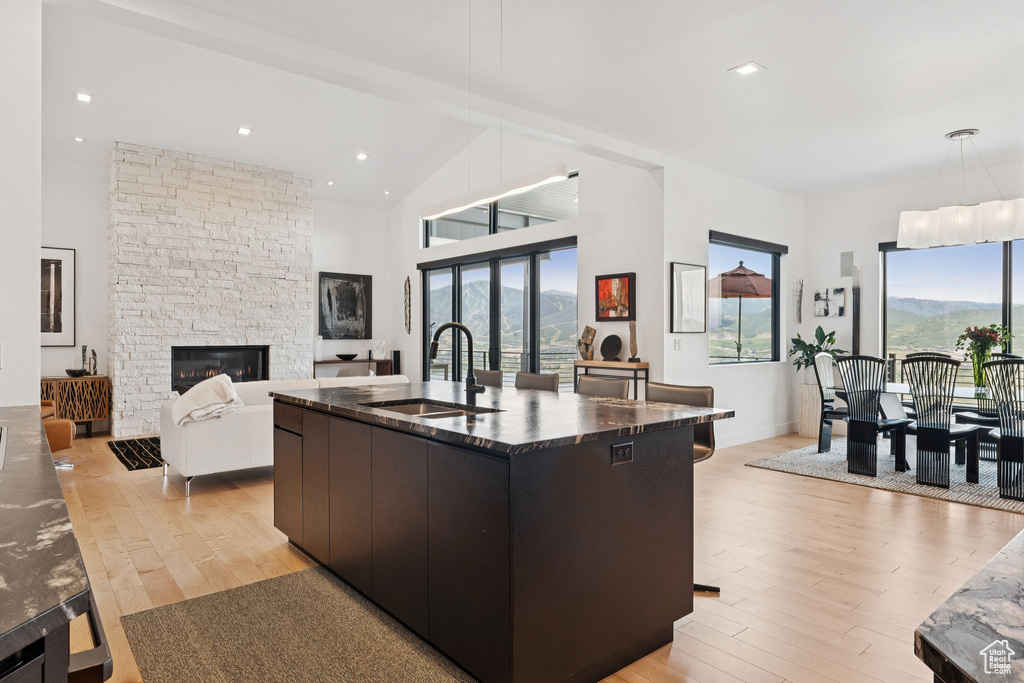 Kitchen featuring modern cabinets, plenty of natural light, light wood finished floors, a stone fireplace, and high vaulted ceiling