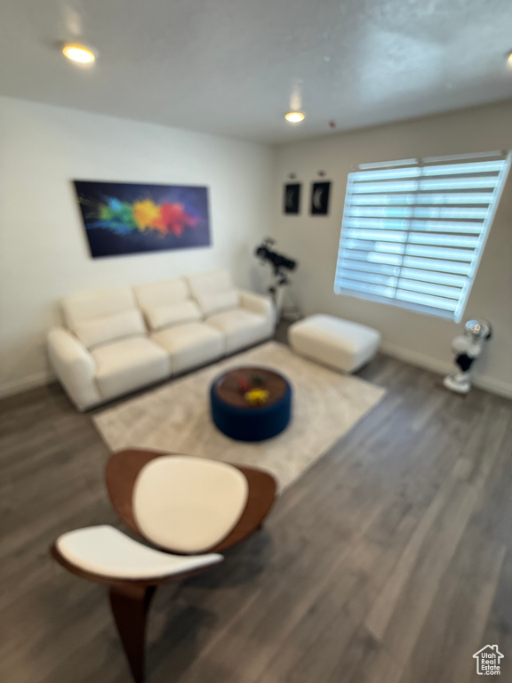 Living area featuring wood finished floors and recessed lighting