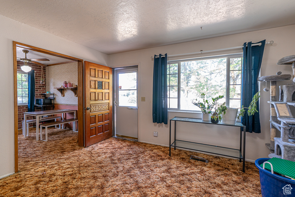 Foyer entrance with plenty of natural light, carpet, ceiling fan, and a textured ceiling