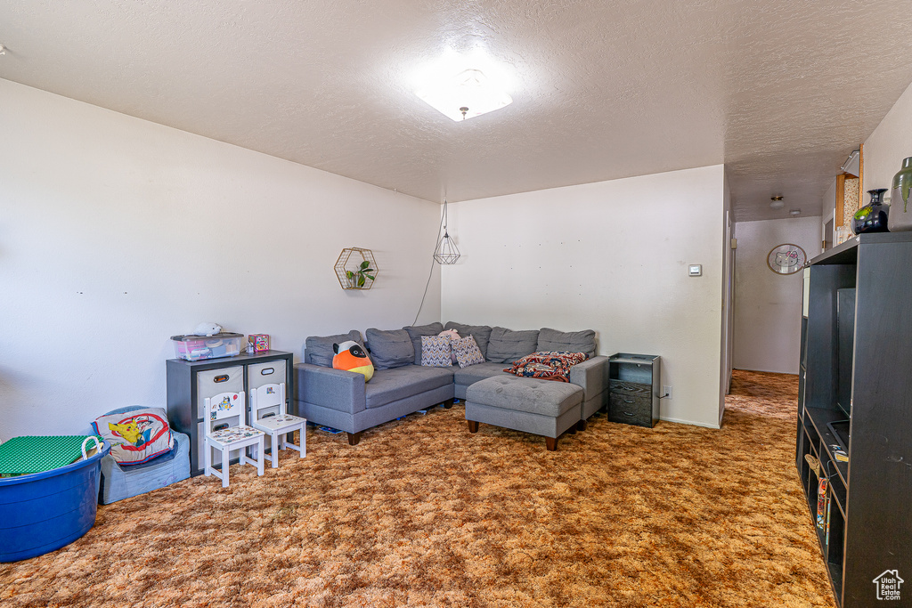 Living room with carpet floors and a textured ceiling