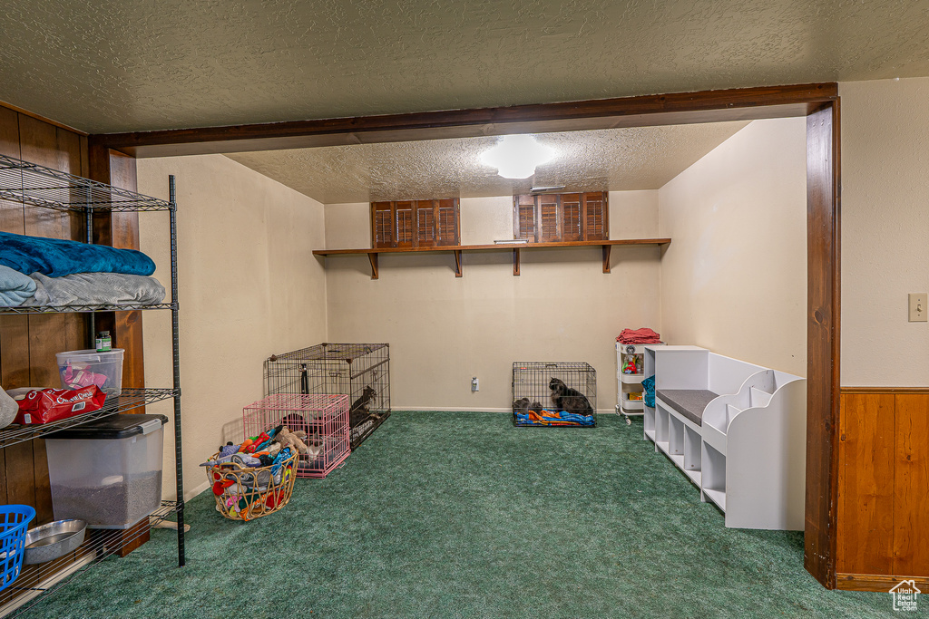 Finished below grade area featuring carpet flooring and a textured ceiling