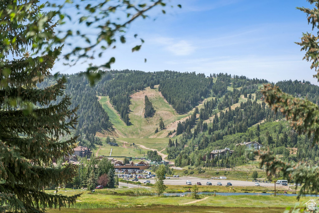 View of mountain backdrop featuring a heavily wooded area