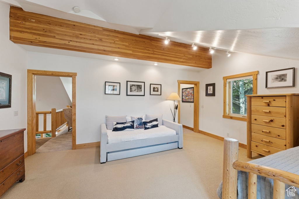 Bedroom with light colored carpet and track lighting