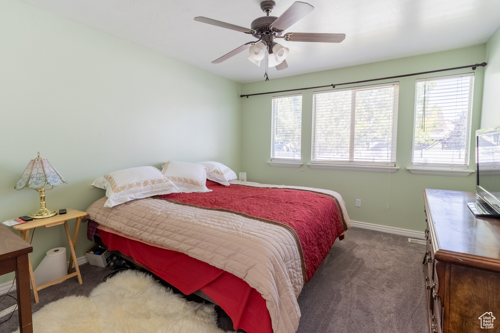 Bedroom featuring carpet, multiple windows, and a ceiling fan