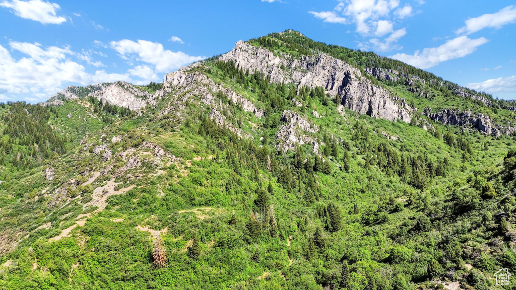 Mountain view featuring a forest