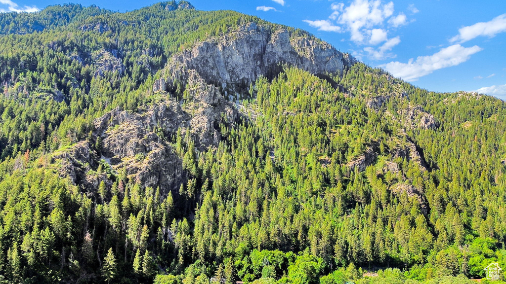 Mountain view with a heavily wooded area