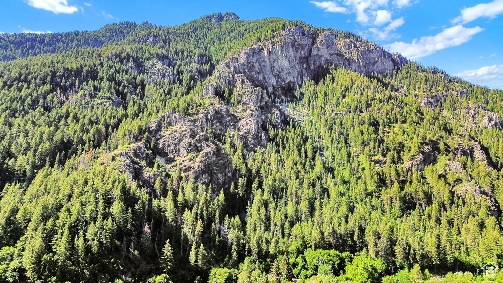 View of mountain background with a forest