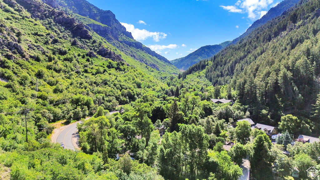 View of mountain background featuring a heavily wooded area