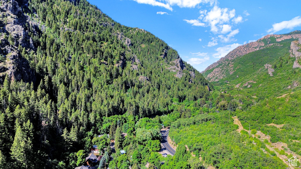 Mountain view featuring a forest