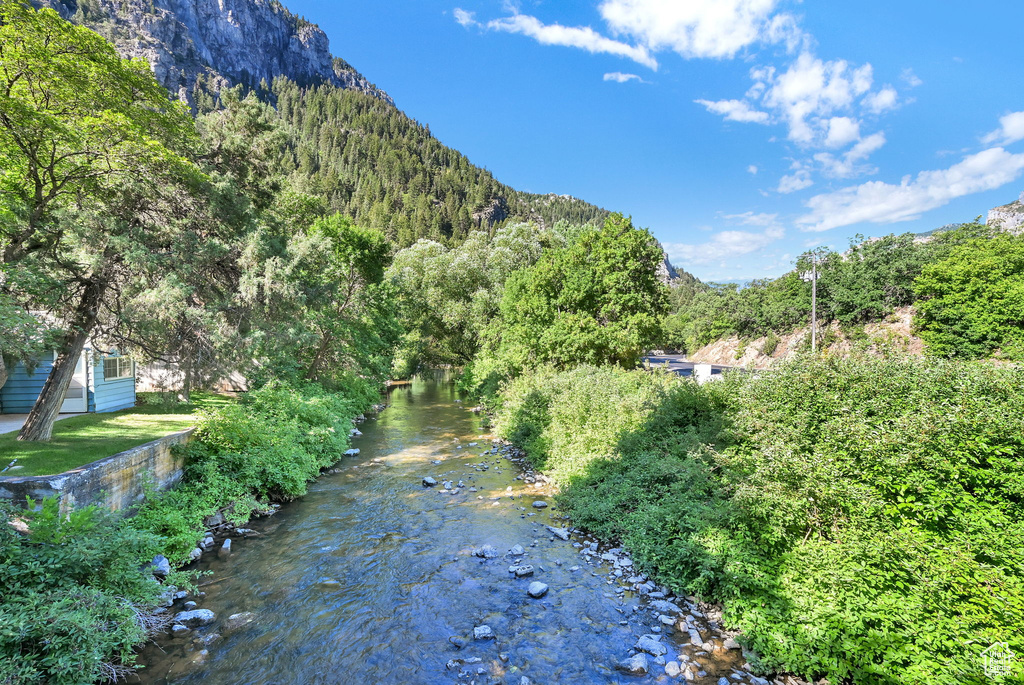 Mountain view with a heavily wooded area