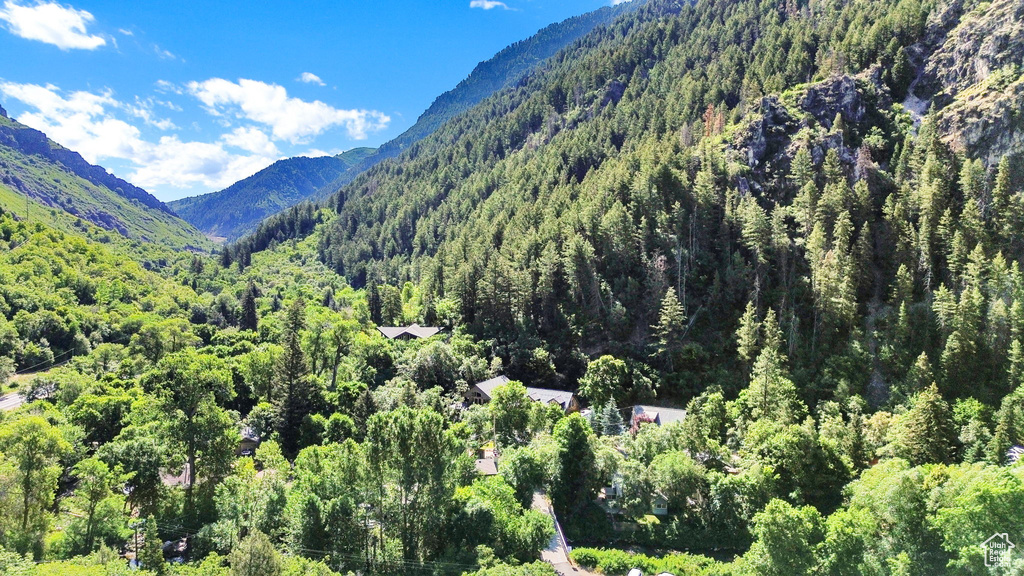 View of mountain background featuring a heavily wooded area