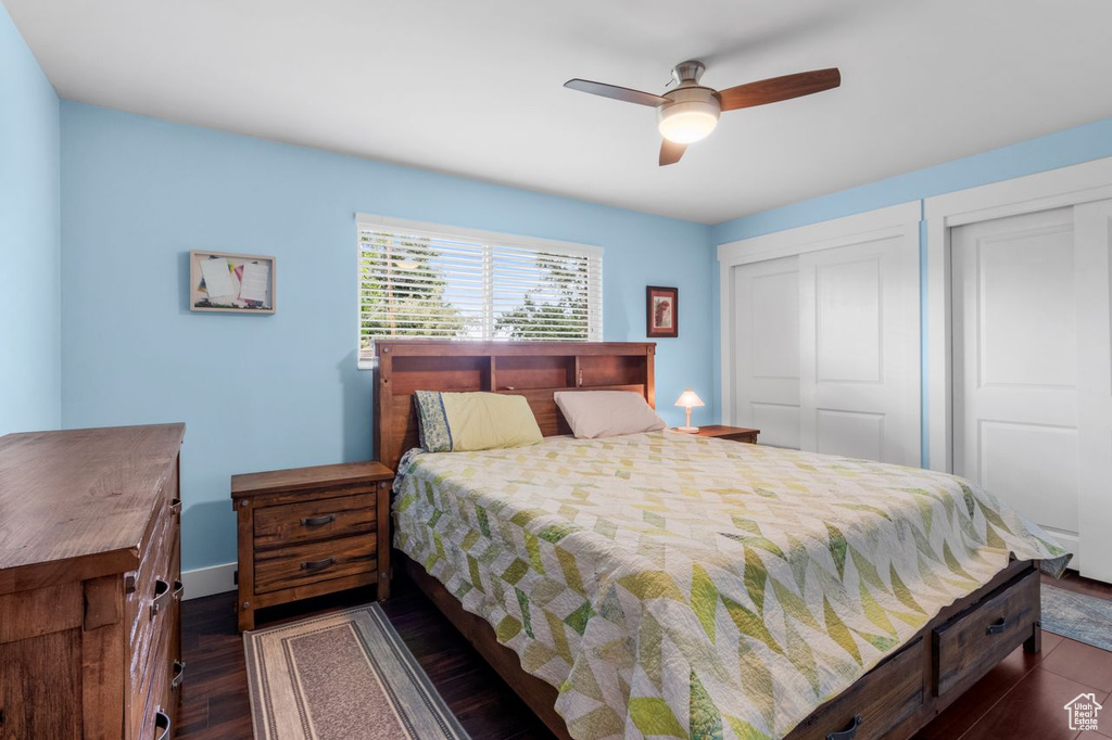 Bedroom featuring multiple closets, dark wood finished floors, and ceiling fan
