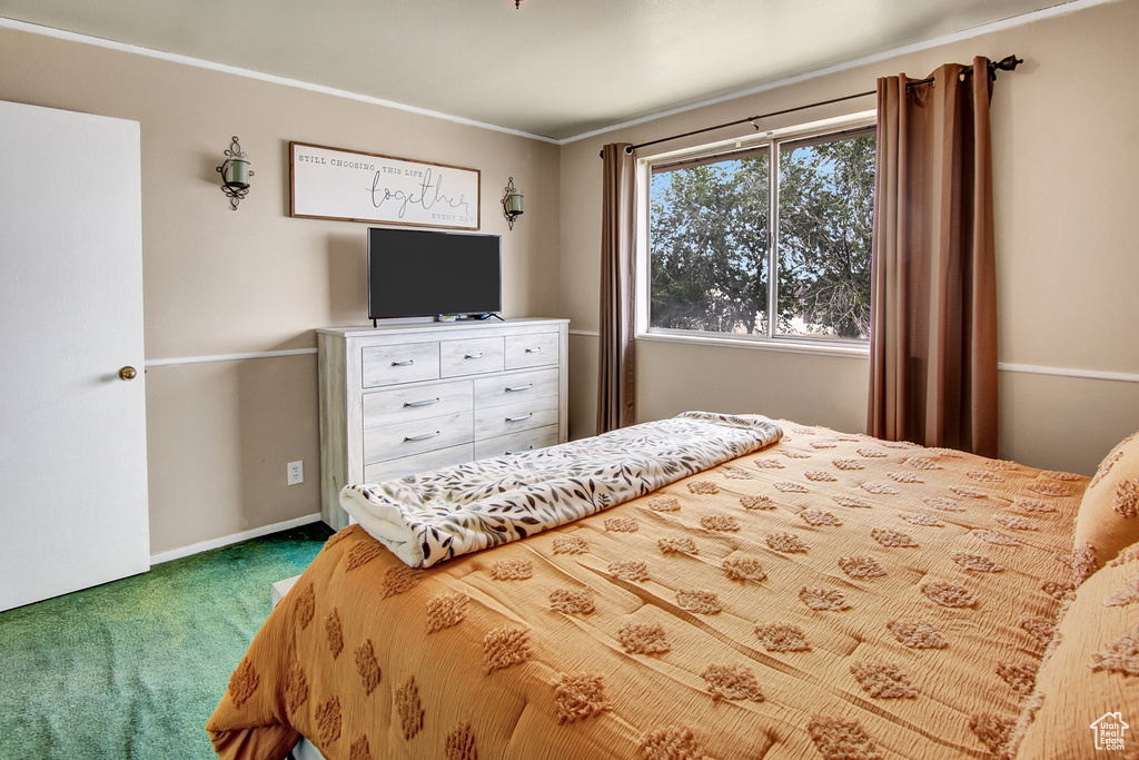 Bedroom with carpet and baseboards