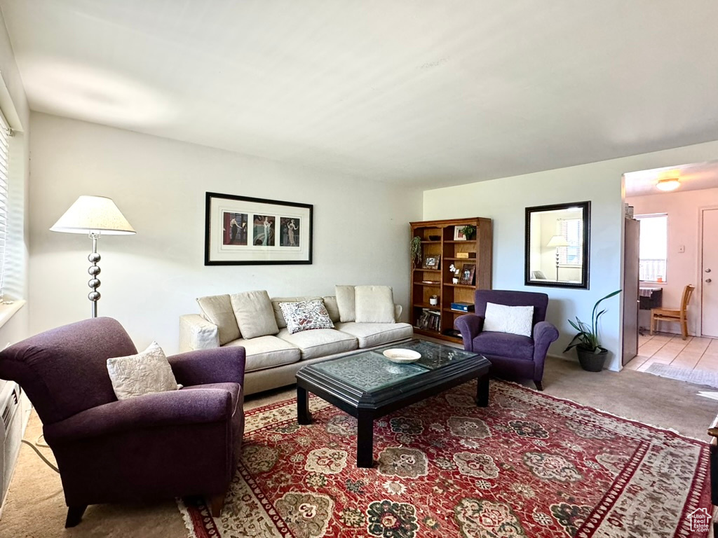 Living area with carpet flooring