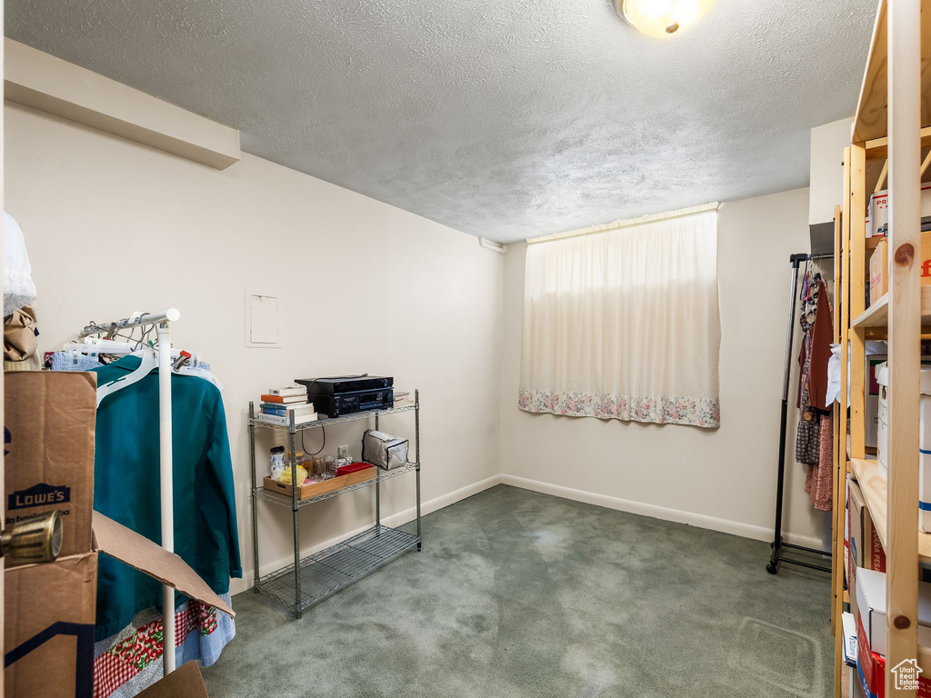 Below grade area with a textured ceiling and carpet