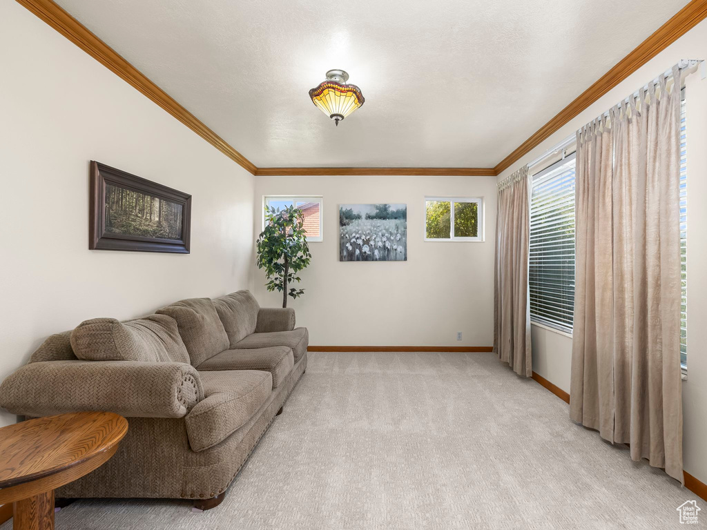 Living area featuring ornamental molding and light colored carpet