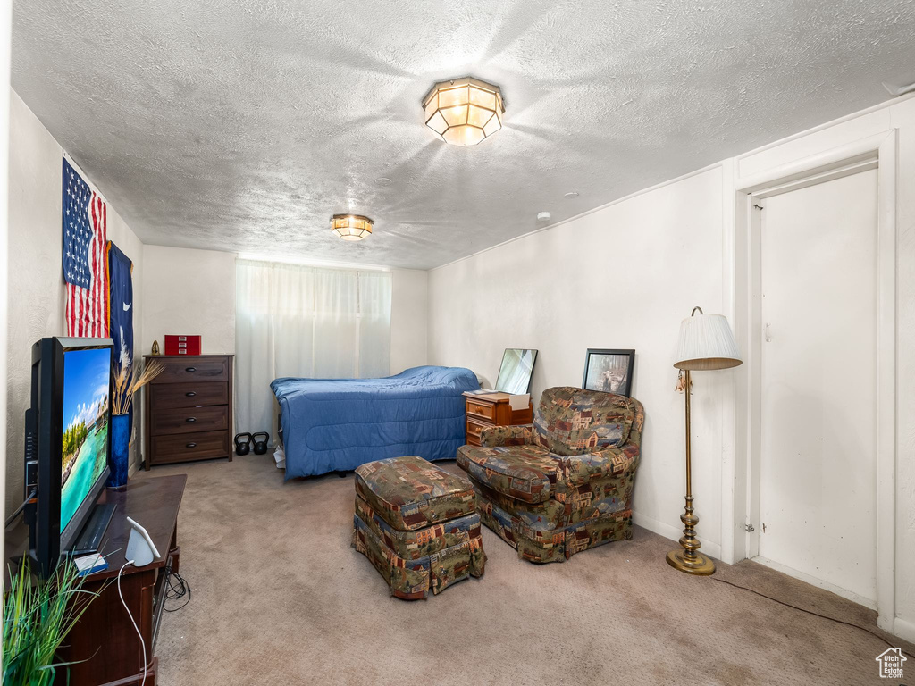 Bedroom with carpet floors and a textured ceiling