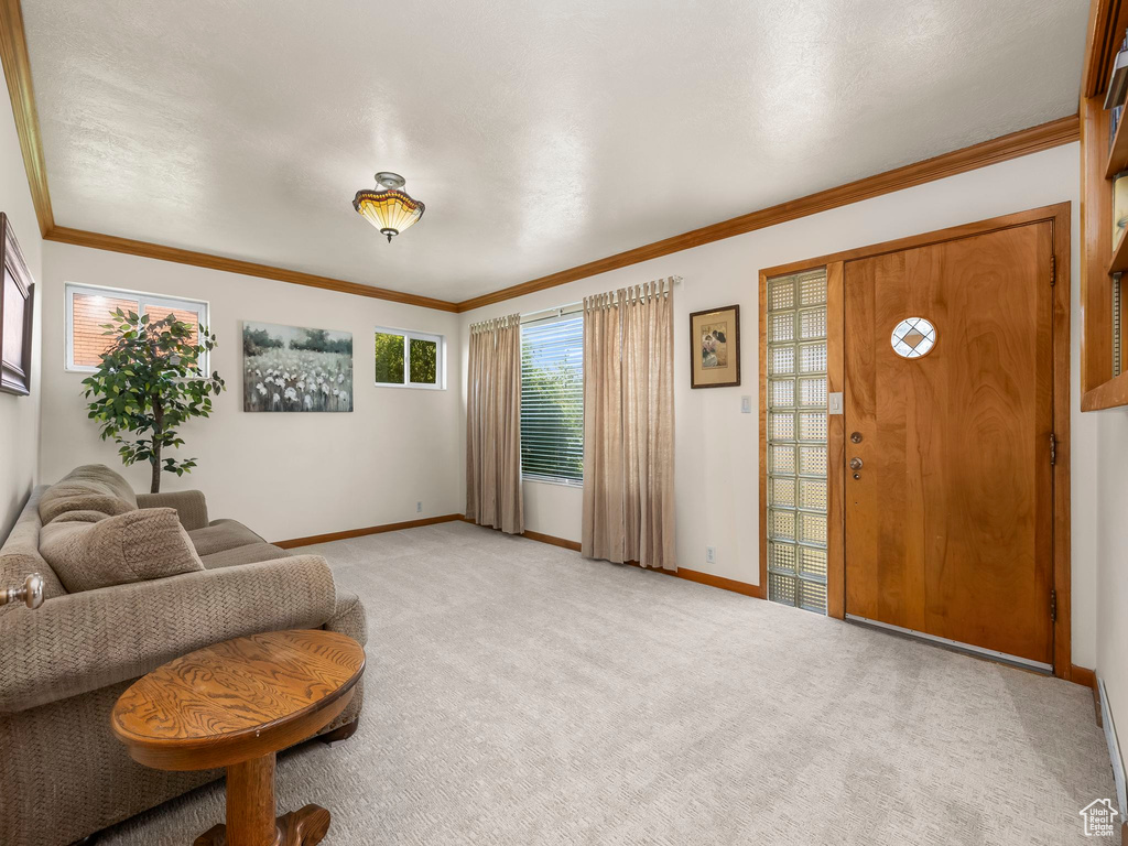 Living area with light colored carpet and ornamental molding