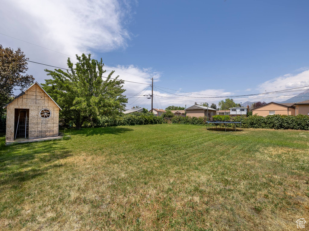 View of grassy yard featuring a trampoline and an outdoor structure