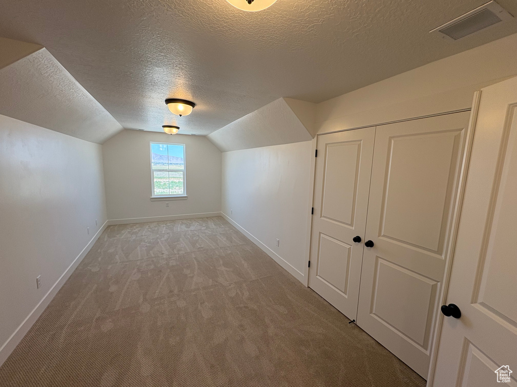 Additional living space with a textured ceiling, light colored carpet, and vaulted ceiling