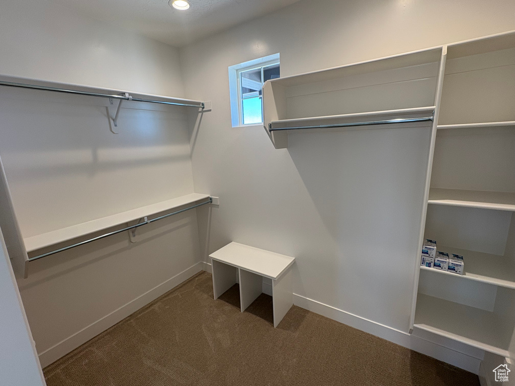 Walk in closet with carpet floors