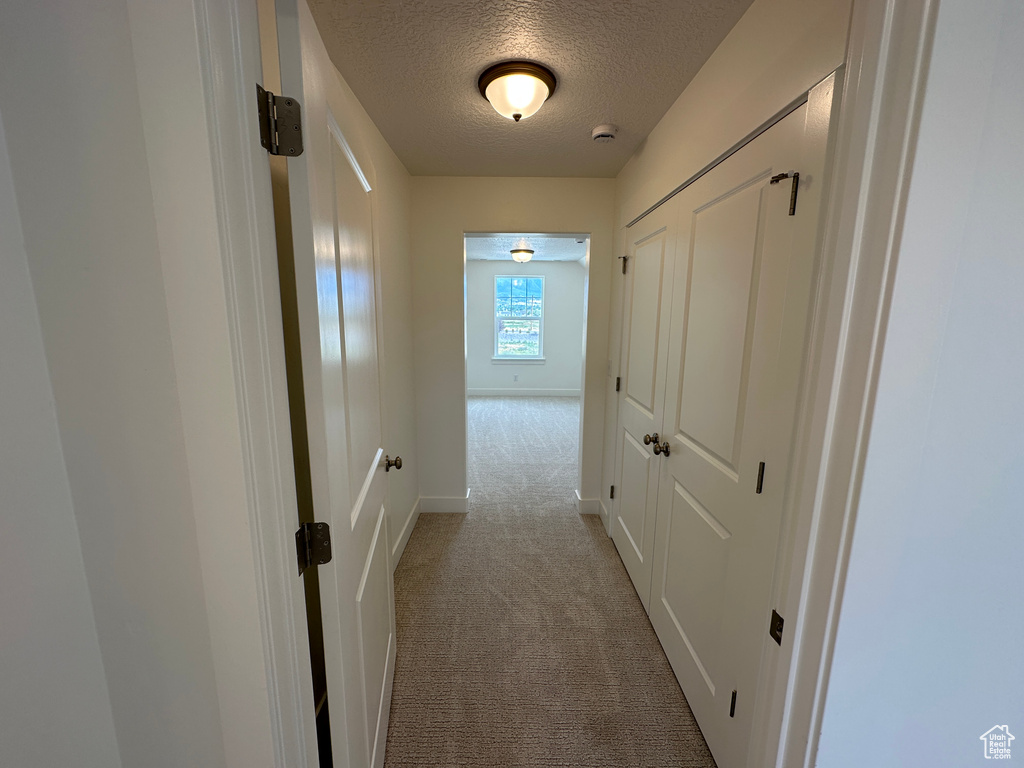 Hallway with carpet floors and a textured ceiling