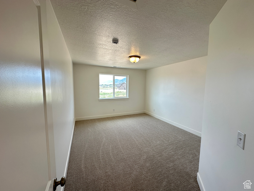 Empty room featuring carpet floors and a textured ceiling
