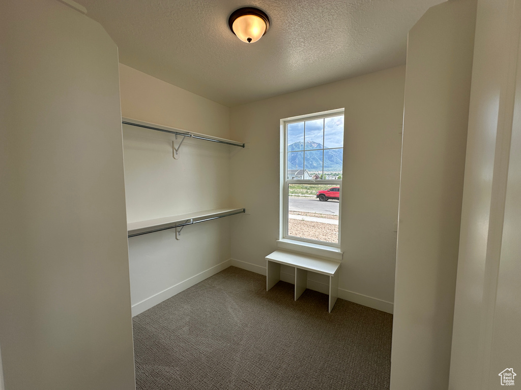 Walk in closet featuring carpet floors