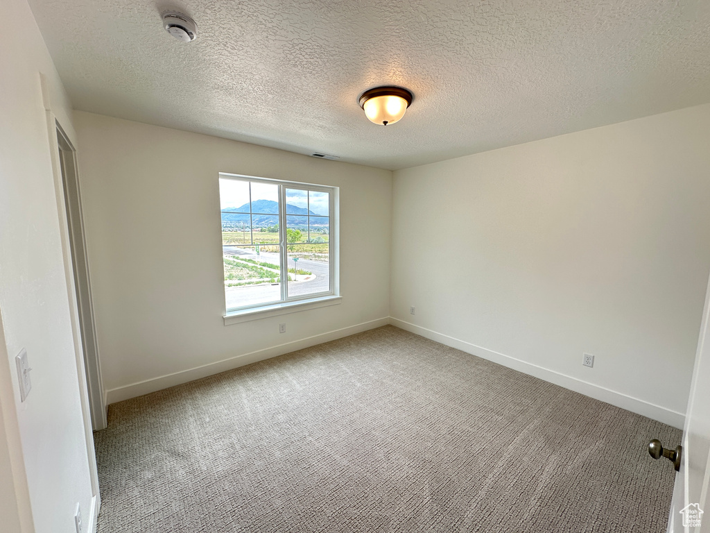 Empty room featuring a smoke detector, light colored carpet, and a textured ceiling