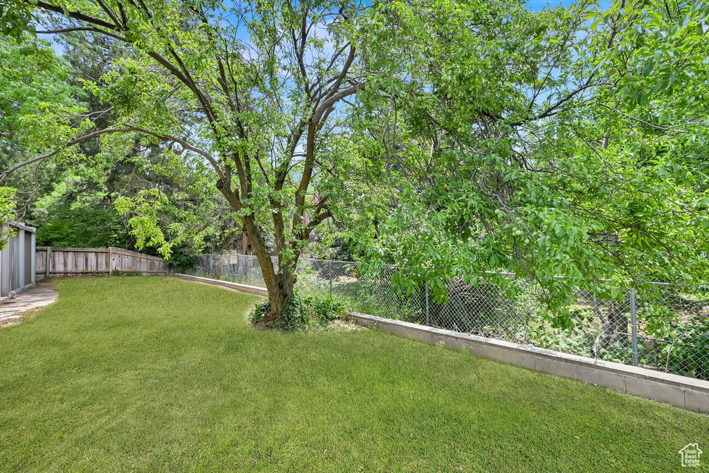 View of fenced backyard