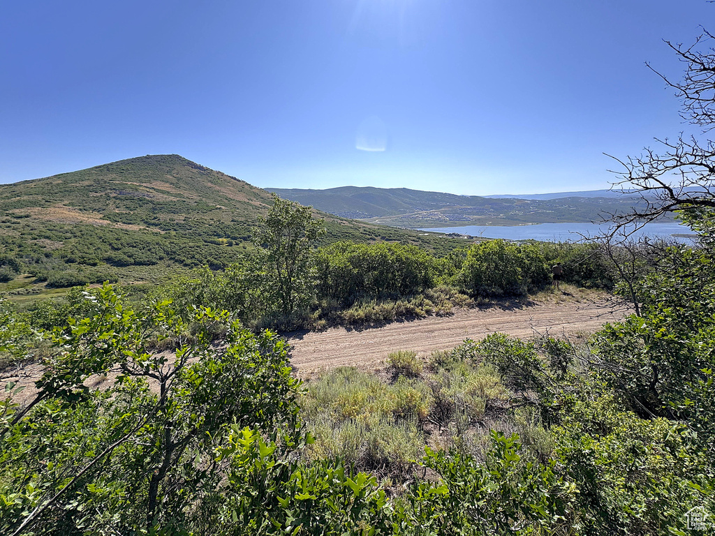 View of mountain background