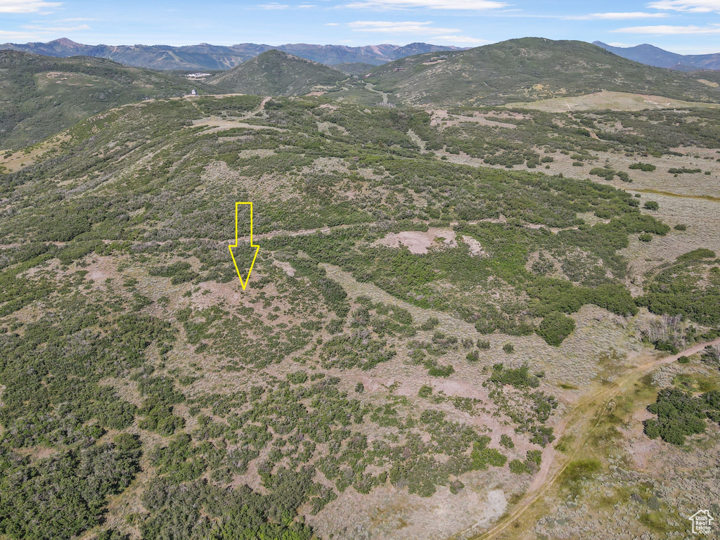 Bird\\\\\\\\\\\\\\\'s eye view of a mountainous background