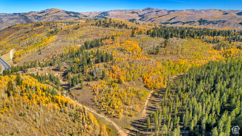 Mountain view featuring a forest