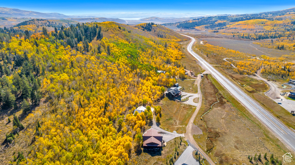 Aerial overview of property\'s location featuring a forest and mountains