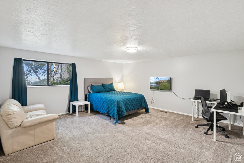Bedroom featuring carpet, a textured ceiling, and a desk