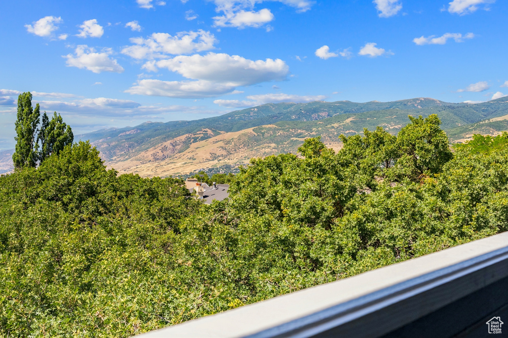 Mountain view