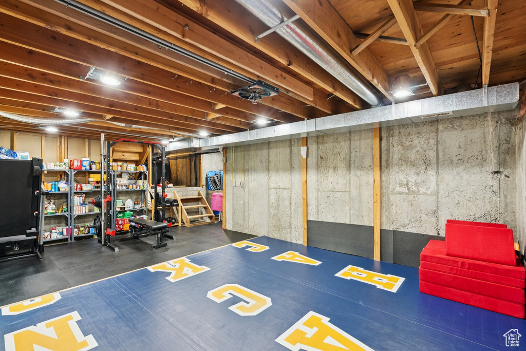 View of unfinished basement
