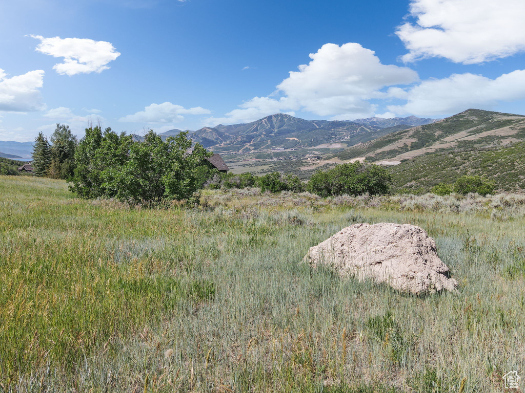 View of mountain background