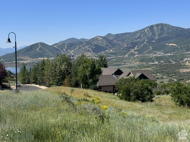View of mountain background