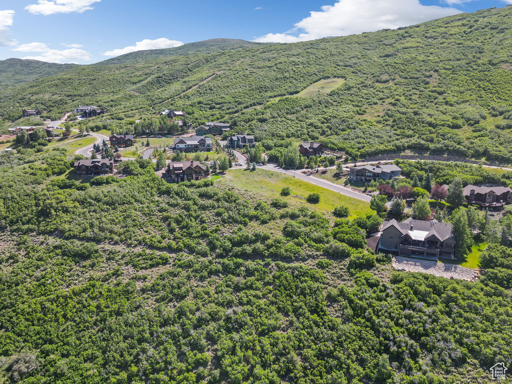 Aerial view of residential area featuring a mountain backdrop and a heavily wooded area
