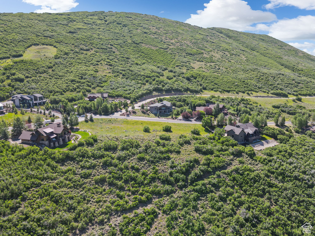 View of mountain background featuring a forest