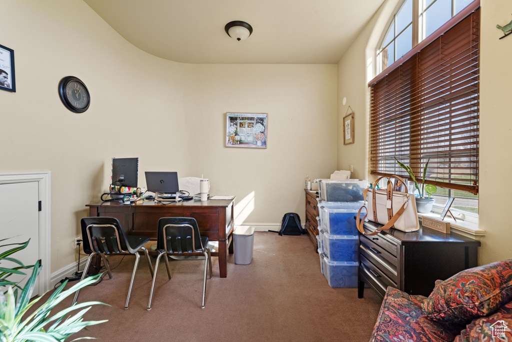 Carpeted home office with plenty of natural light