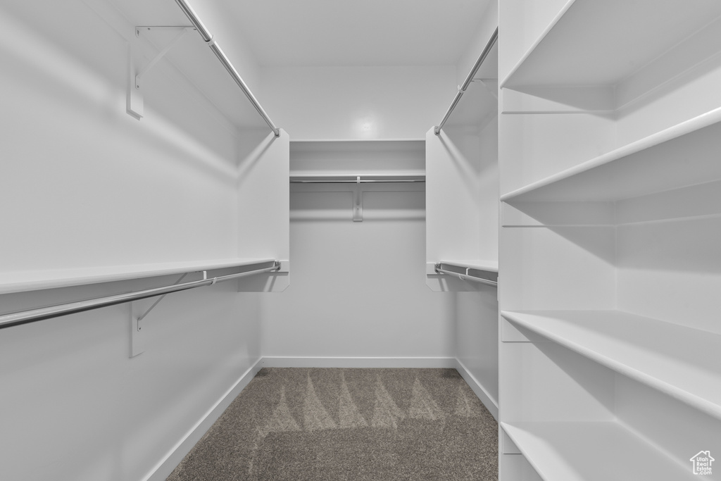 Walk in closet with carpet floors