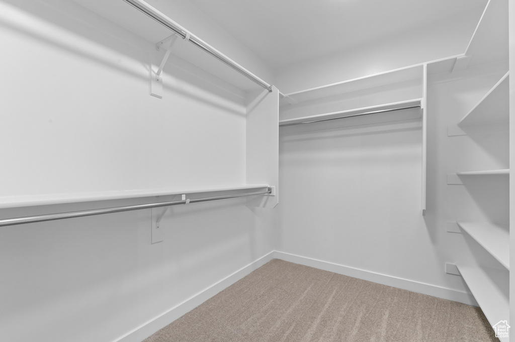 Spacious closet with carpet flooring
