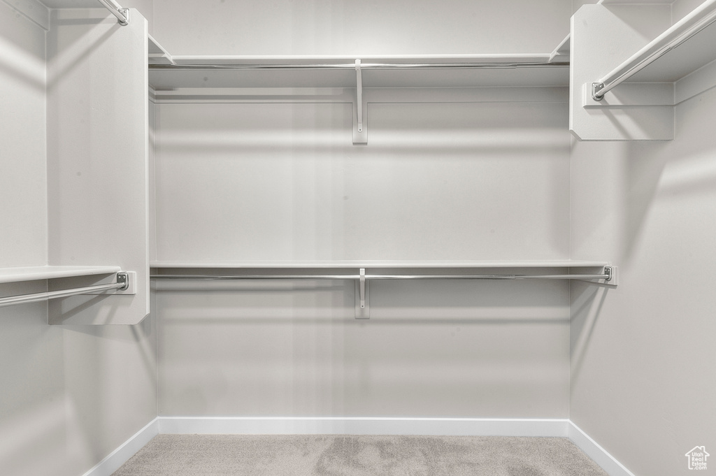 Spacious closet featuring carpet floors