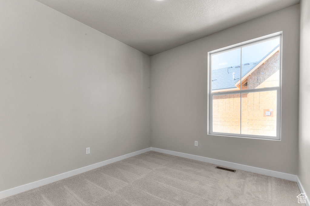 Unfurnished room featuring light carpet, plenty of natural light, and a textured ceiling